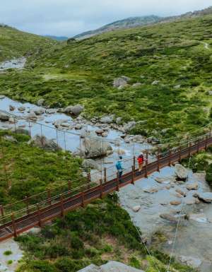 Spencers Creek Suspension Bridge on the Snowies Alpine Walk