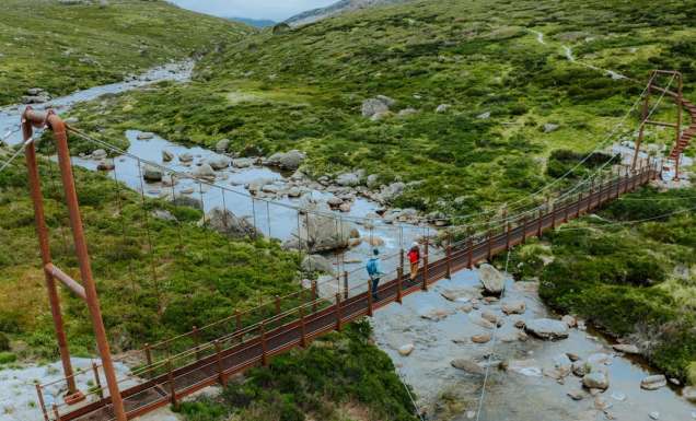 Spencers Creek Suspension Bridge on the Snowies Alpine Walk