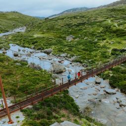 Spencers Creek Suspension Bridge on the Snowies Alpine Walk