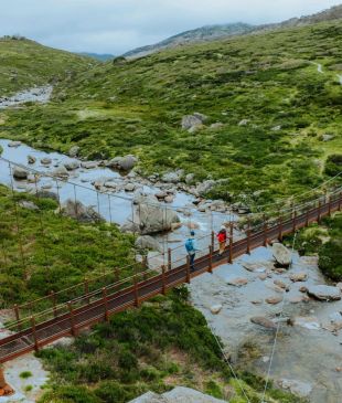 <p><i>Why you need to hike to</i> <strong>Australia</strong>’s <i>highest suspension bridge</i></p>
