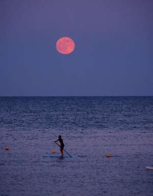 Standup paddleboarders under the strawberry moon at Barceloneta beach