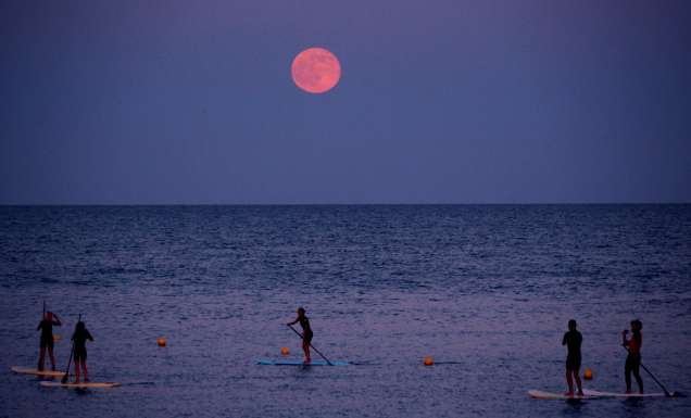 Standup paddleboarders under the strawberry moon at Barceloneta beach