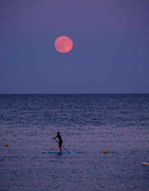 Standup paddleboarders under the strawberry moon at Barceloneta beach