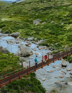 Spencers creek suspension bridge