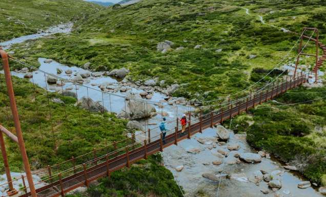Spencers creek suspension bridge