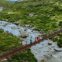 Spencers creek suspension bridge