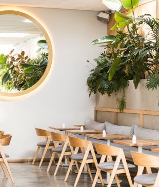 <p>12 of the best <strong>Hobart</strong> cafes for <i>breakfast, brunch and lunch</i></p>
