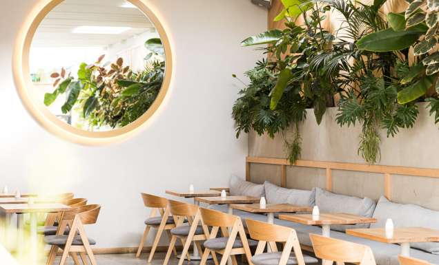 the cafe interior of Born In Brunswick, Hobart