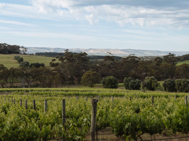 best australian wineries
