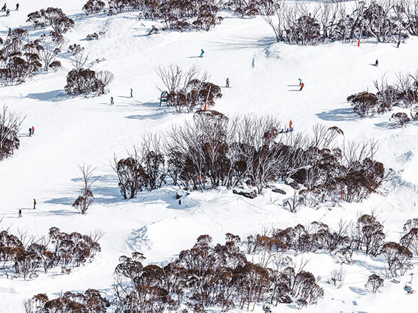 Kosciuszko National Park