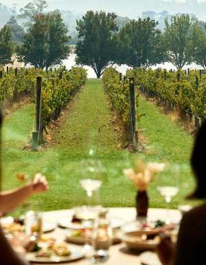 reatuarant Oakridge Wines, Vic