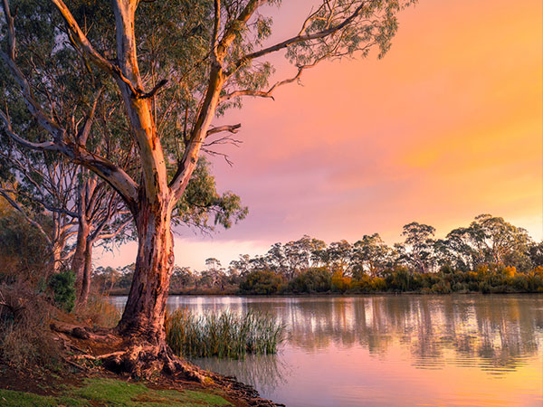 the river murray internation dark sky reserve as the sun sets in south australia