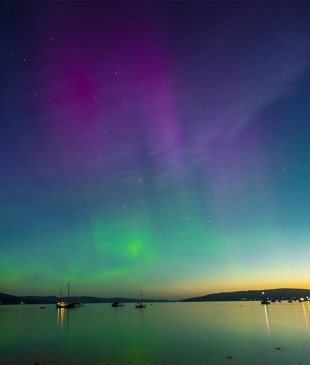 <p><i>Savour seafood</i> and the <i>Southern Lights</i> on this <strong>Tassie</strong> night cruise</p>
