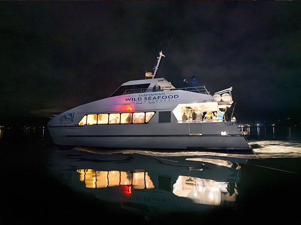 The Sea to Sky Night Cruise catamaran sitting on the water.
