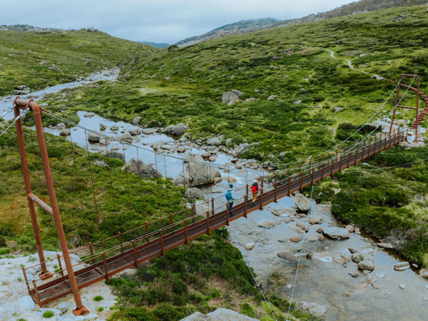 Spencers Creek Suspension Bridge on the Snowies Alpine Walk