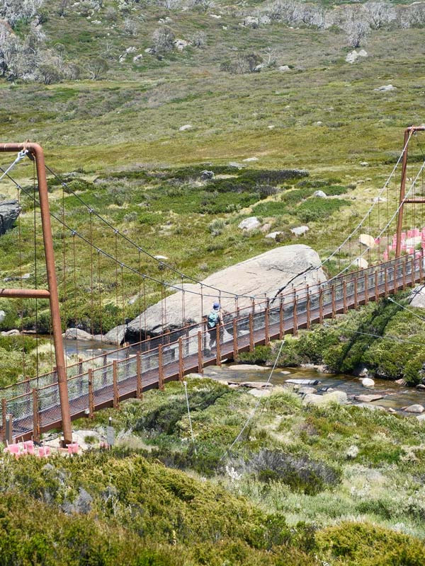 Spencers Creek Suspension Bridge on the Snowies Alpine Walk