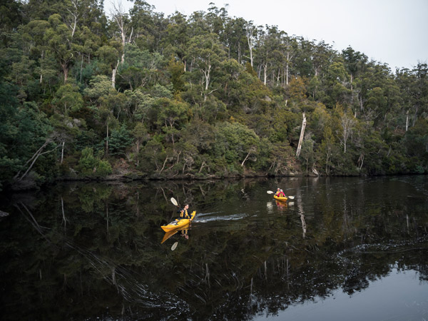 Guests kayaking while on Tasmanian Walking Company's Bay of Fires Long Weekend