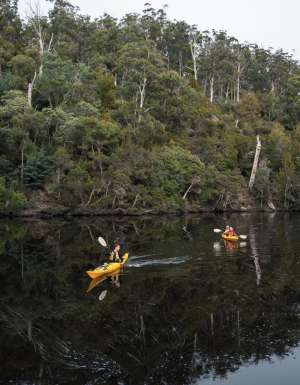 Guests kayaking while on Tasmanian Walking Company's Bay of Fires Long Weekend