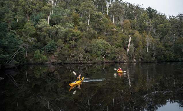 Guests kayaking while on Tasmanian Walking Company's Bay of Fires Long Weekend