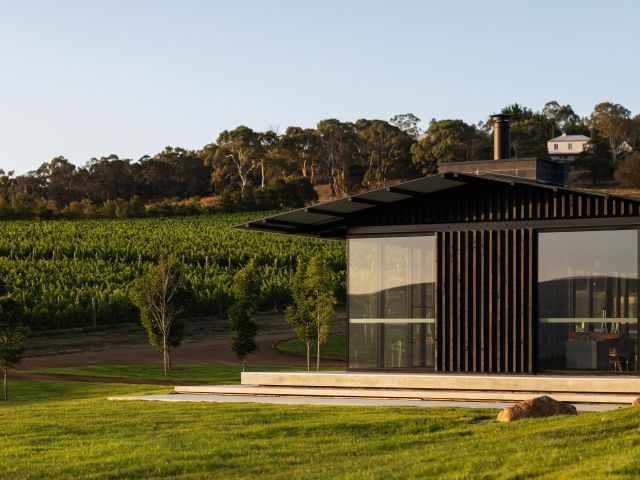 tolpuddle vineyard tasmania