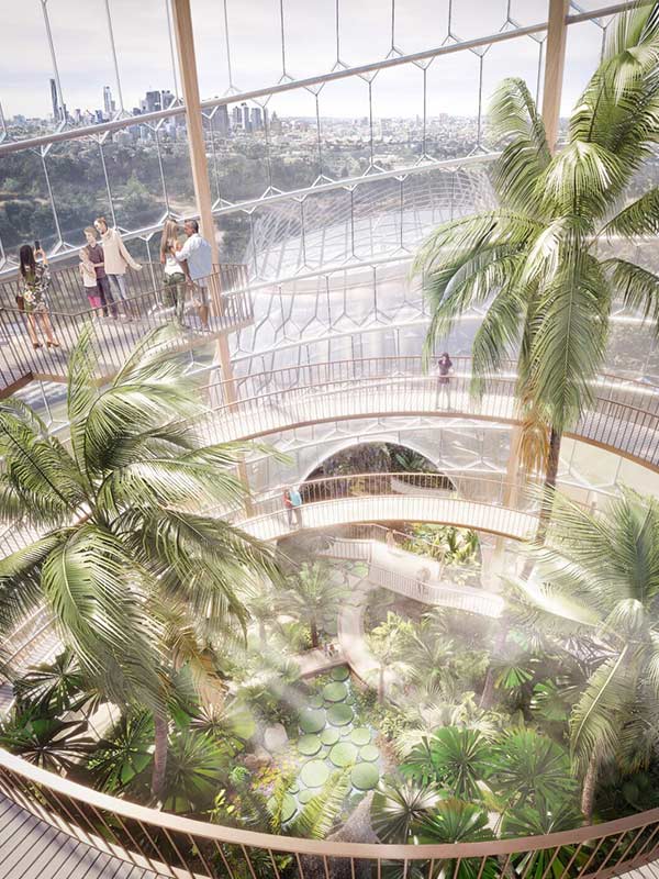 a render of the inside Mt Coot-tha tropical dome after renovation