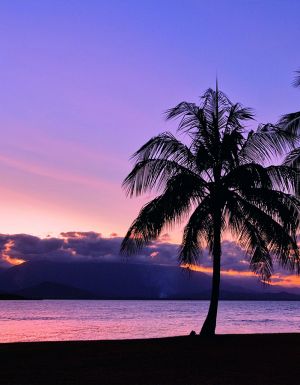 A sunset view in Port Douglas.