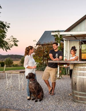 pet friendly towns