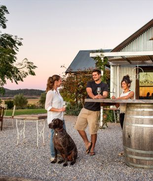 <p>Revealed: <strong>Australia’s</strong> <i>most welcoming towns</i> for you and your pet</p>
