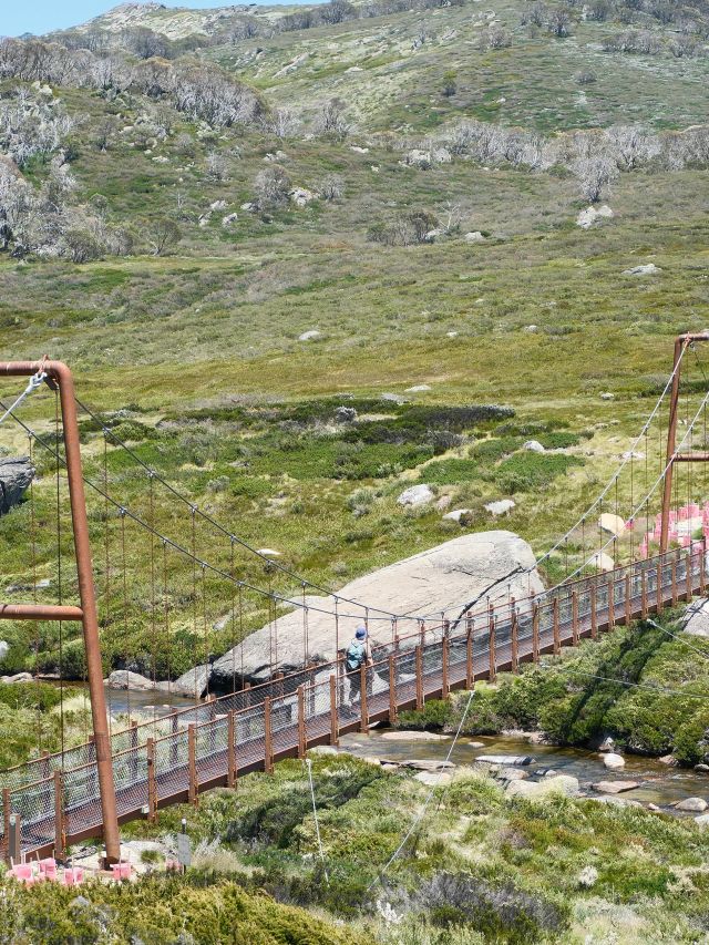 Spencers Creek Bridge