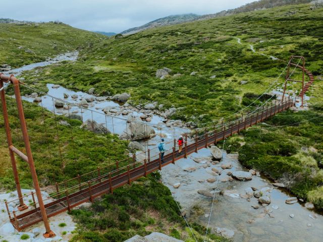 Spencers Creek Suspension Bridge 