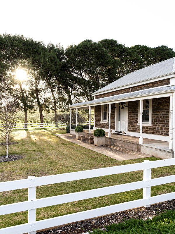 the biodynamic vineyard at Alkina Wine Estate