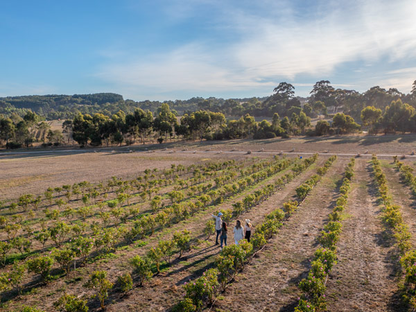 an aerial view of Jurlique Farm in the Adelaide Hills