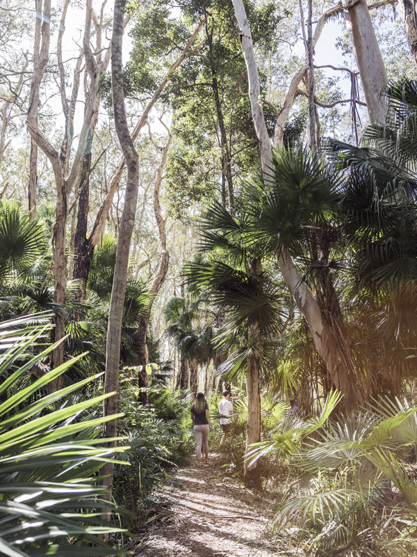 walking the Great Sandy National Park