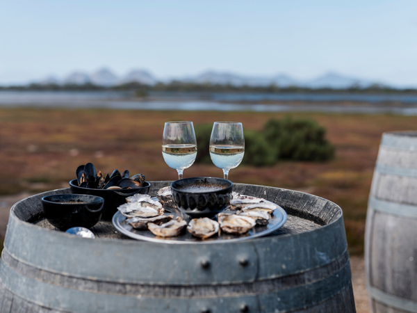 al fresco oysters at Freycinet Marine Farm