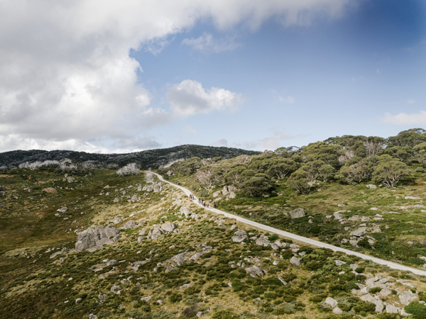 Bogong Horseback Adventures in Mount Beauty, Victoria
