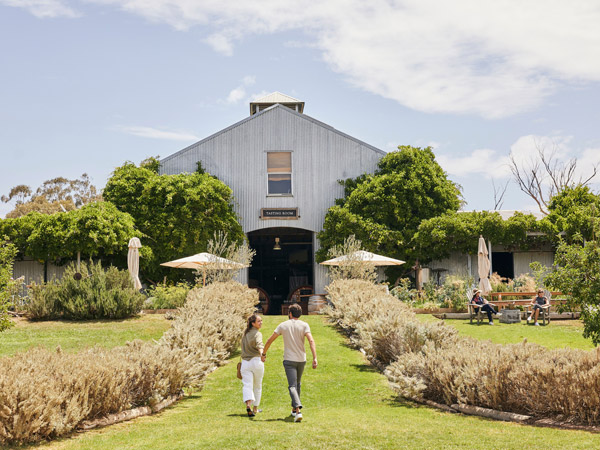 a couple exploring Lowe Wines