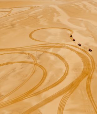 <p>8 ways to <em>discover a new side</em> of <strong>Port Stephens</strong></p>
