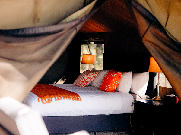 a luxe safari suite in Barramundi Lodge, Arnhem Land