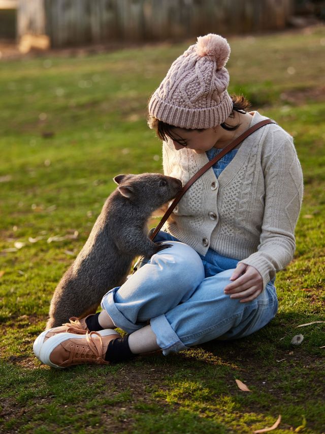 woman with wombat at Bonorong Wildlife Sanctuary