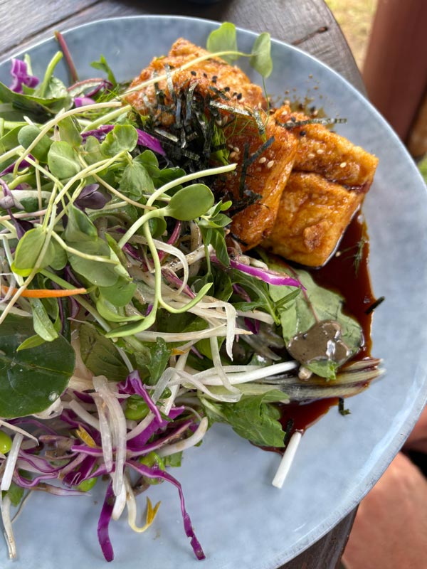Teriyaki tofu plate with a plentiful helping of salad at Chez Basho Boatshed Cafe in Iluka