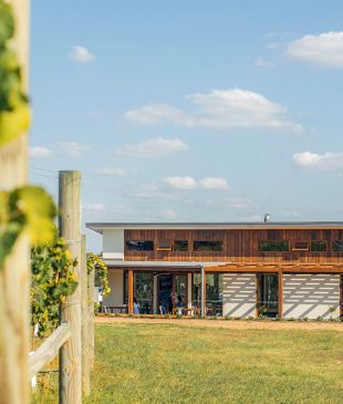 <p><i>Canberra’s cool new wine experience</i> doesn’t need a designated driver</p>
