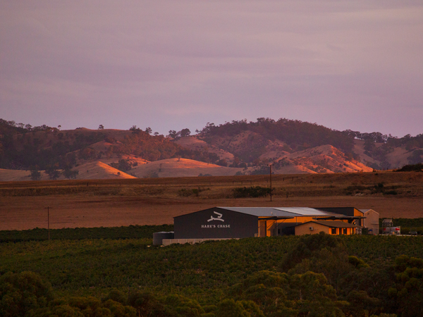Hare's Chase in the Barossa Valley, SA