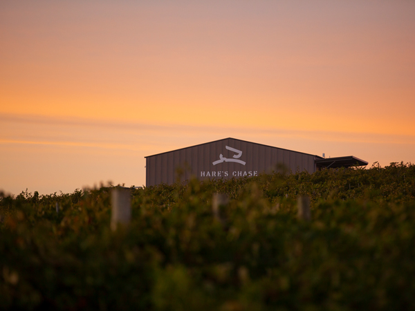 Hare's Chase in the Barossa Valley, SA