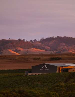 Hare's Chase in the Barossa Valley, SA