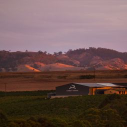 Hare's Chase in the Barossa Valley, SA
