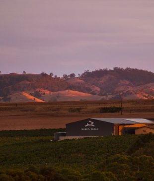 <p>This <strong>SA</strong> winery officially has the <i>best shiraz</i> in the world</p>
