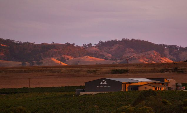 Hare's Chase in the Barossa Valley, SA
