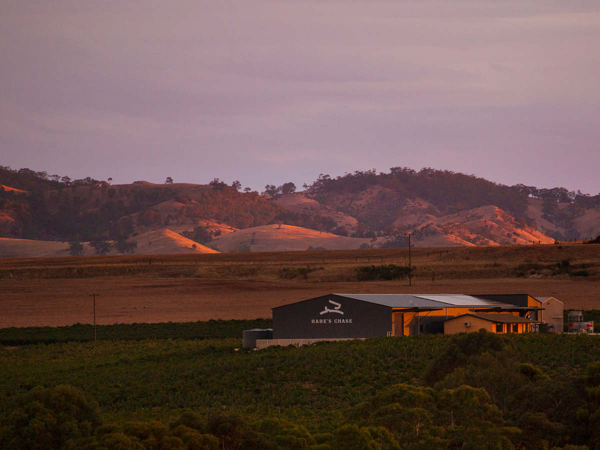 This SA winery officially has the best shiraz in the world