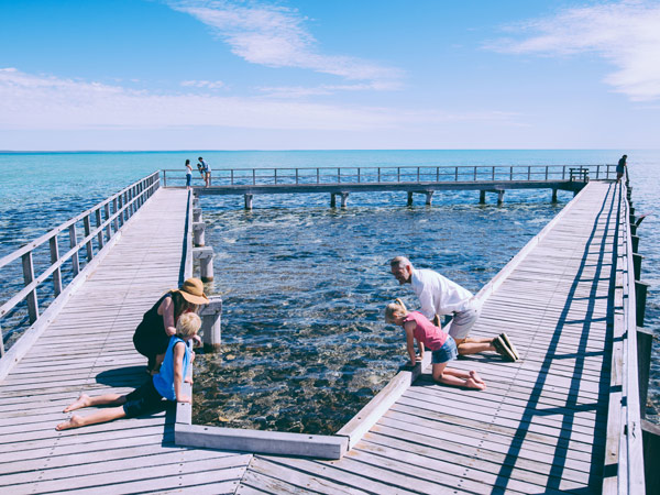 Hamelin Pool Marine Nature Reserve in Western Australia