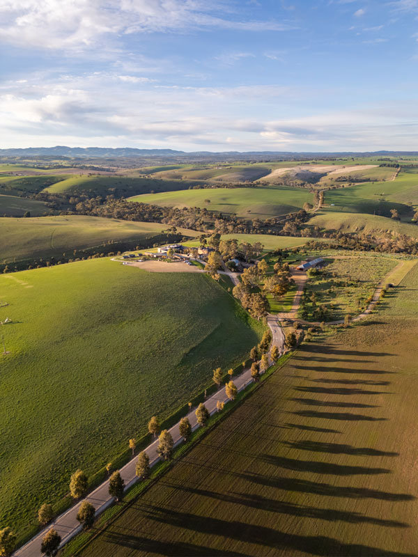the rolling fields surrounding Kingsford The Barossa